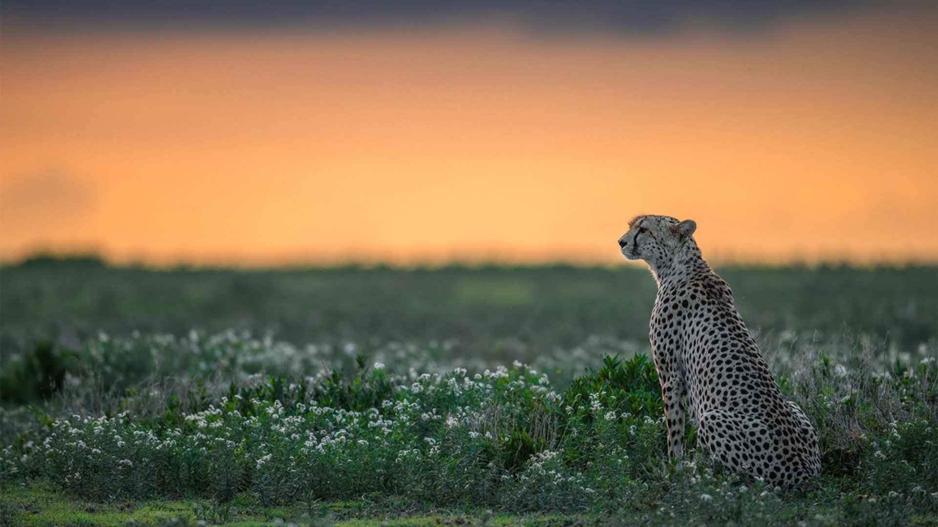 Kaiyun(中国)开云-国家体育总局通报国家级赛事环保方案执行情况，环保类竞赛