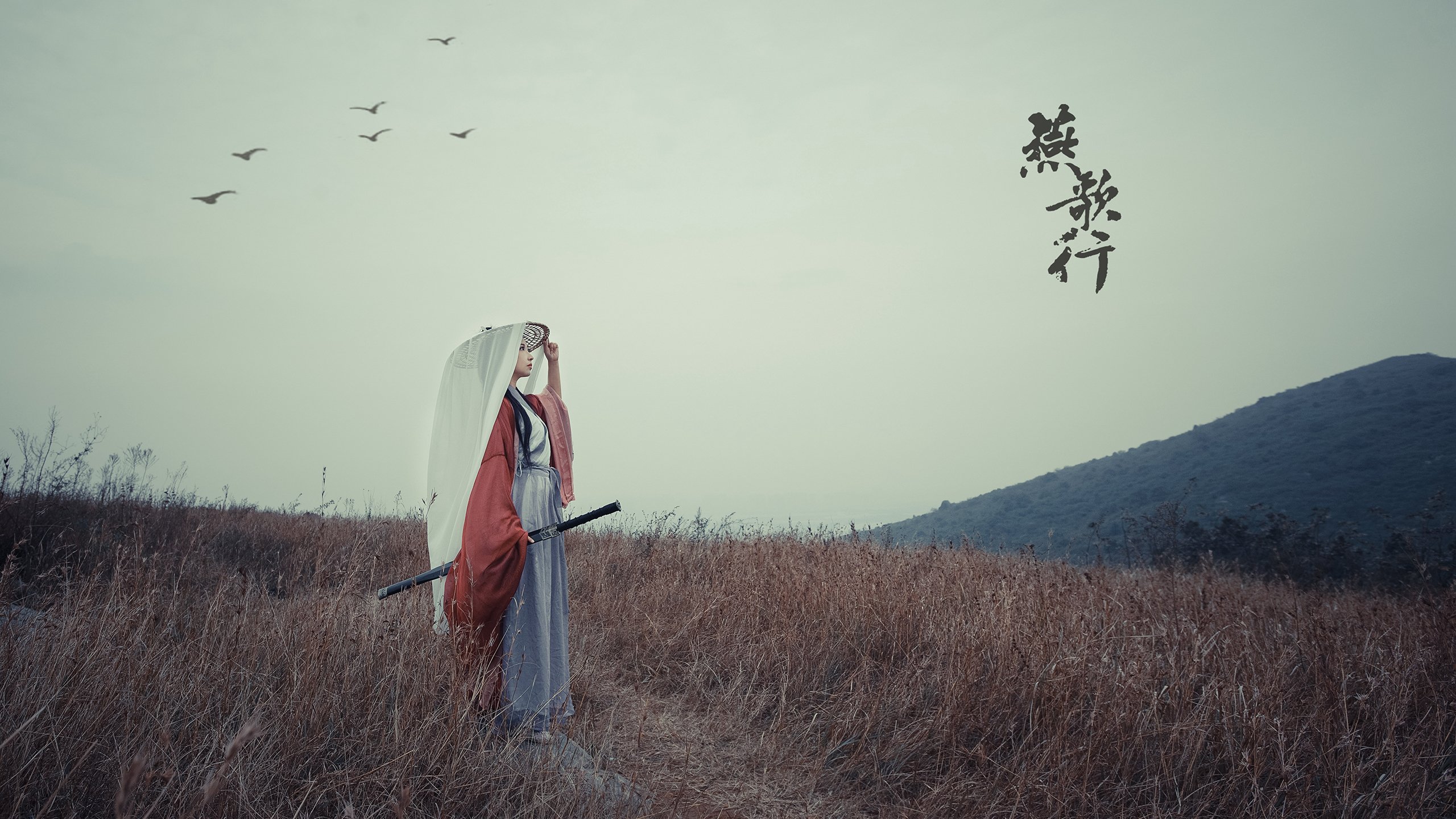 德甲场场精彩:攻守转换,节奏不断升华,德甲收官战