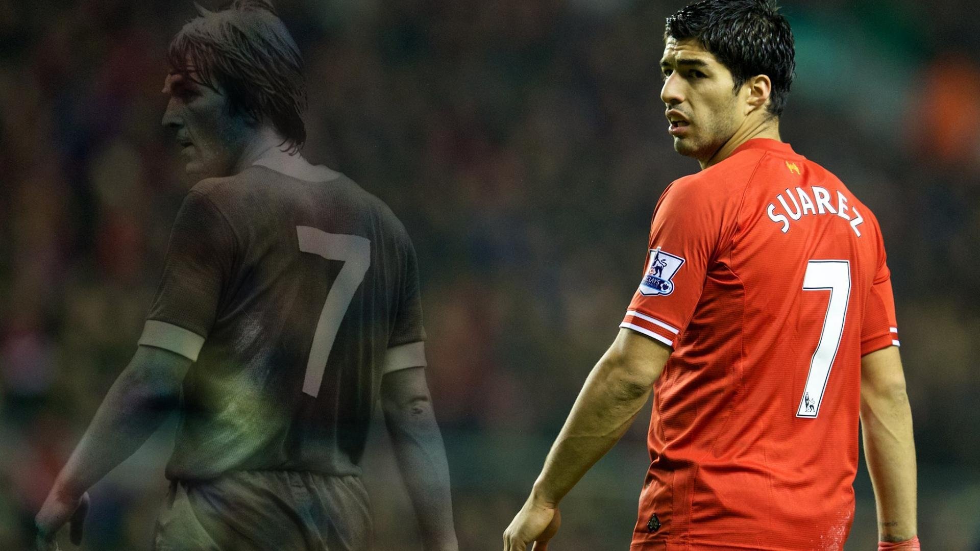 技术雷达图显示团队整体进步，团队成长雷达图