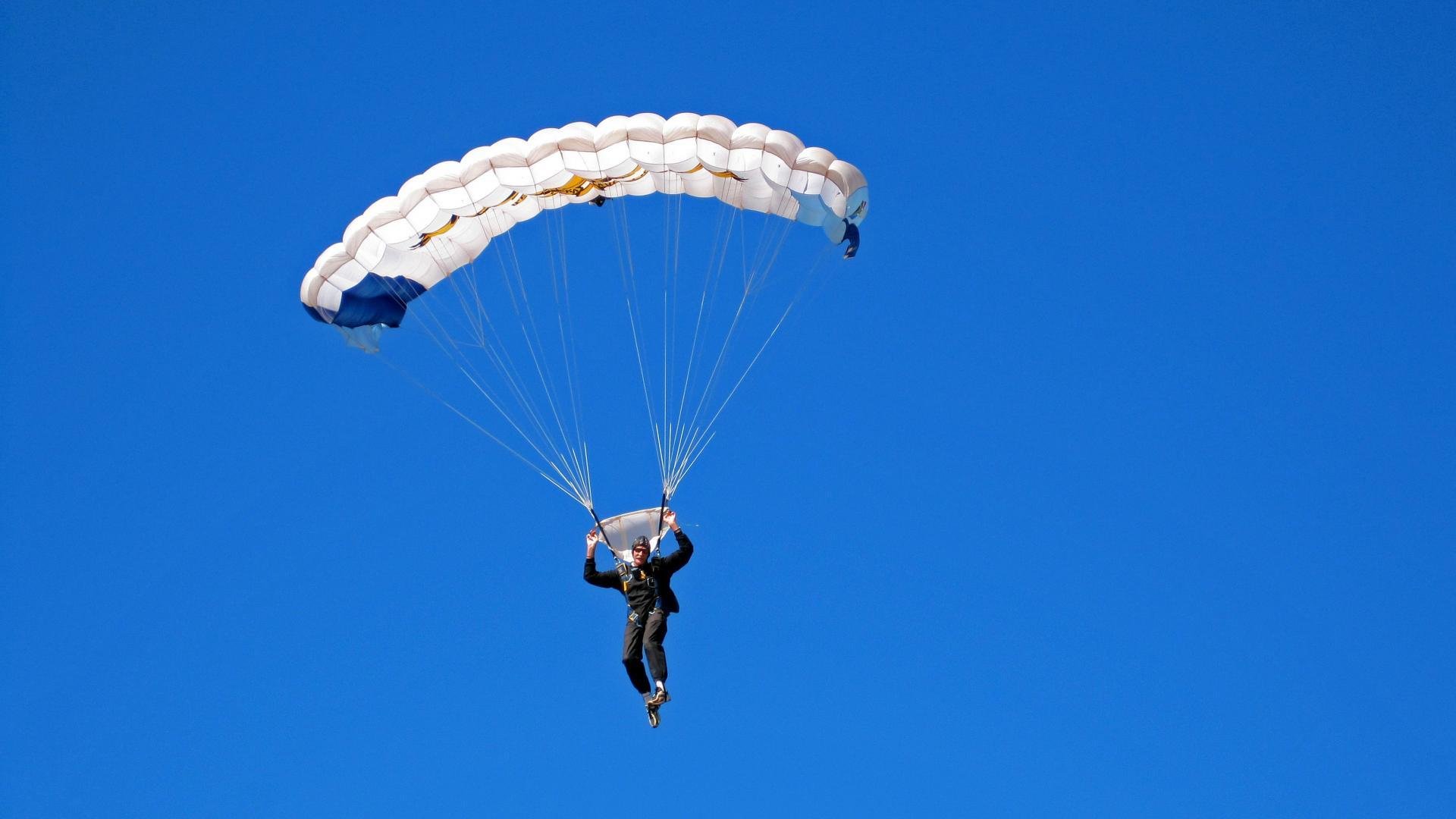 达米恩·麦肯齐：凭借超强的速度和精准的跑位，成为全黑队的进攻利器
